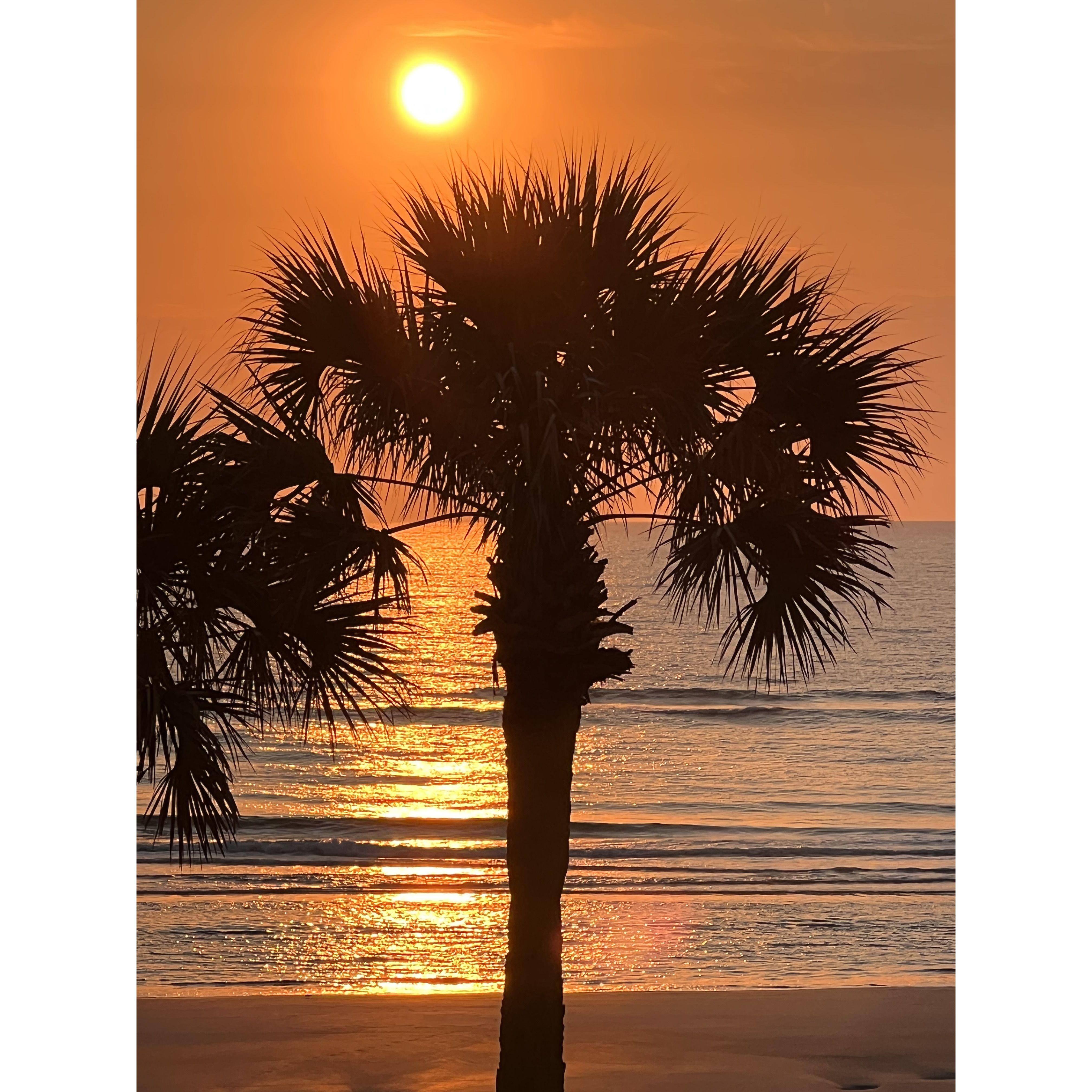 "Just because" we love palm trees and sunsets