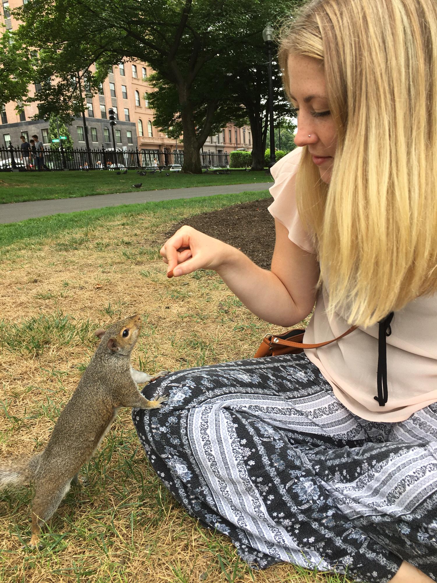 Feeding squirrels in Boston common