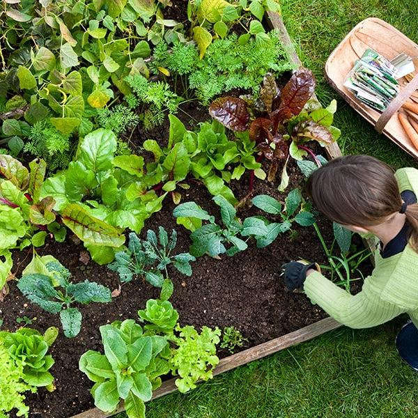 Garden Fund