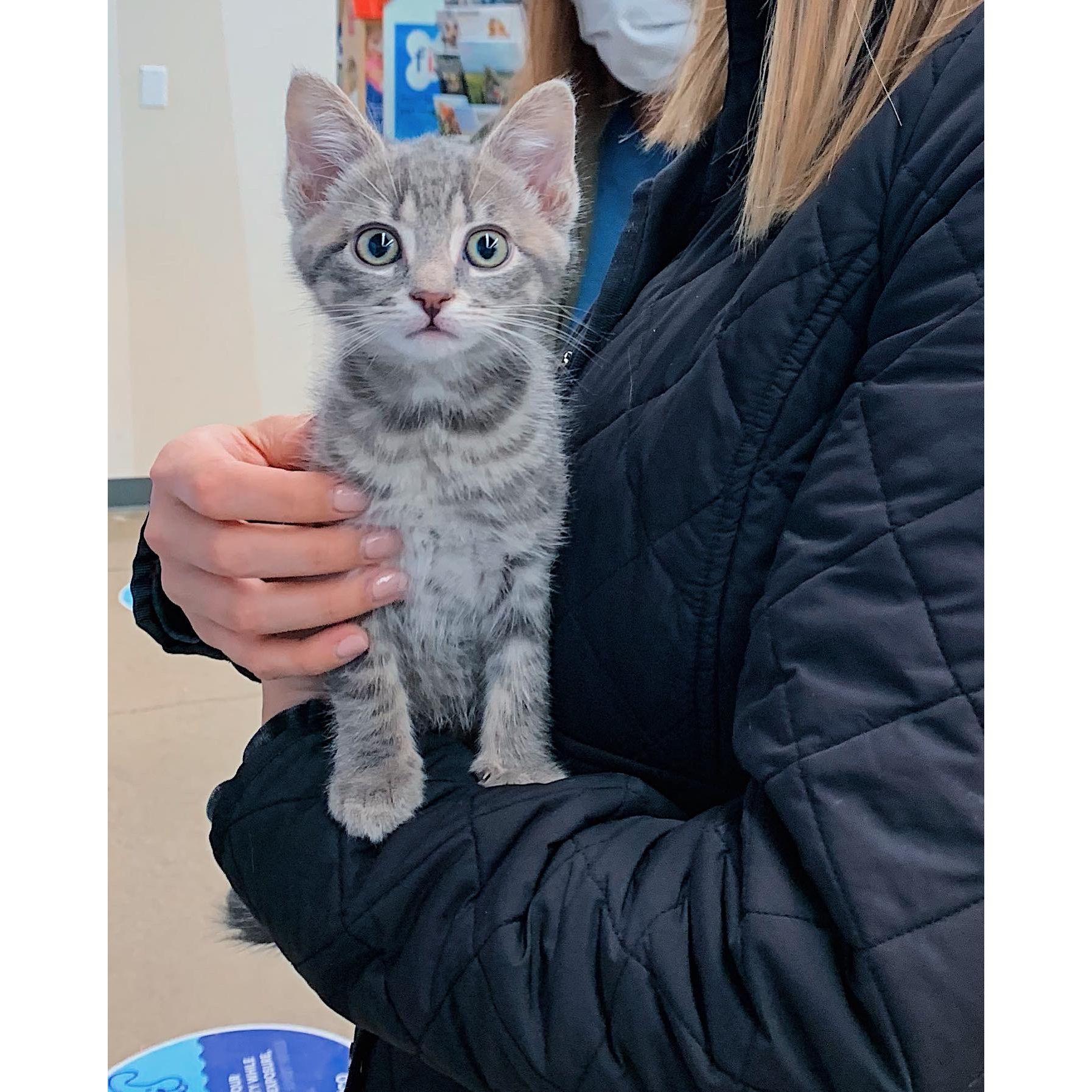 December 2020: Sport joined the fam!