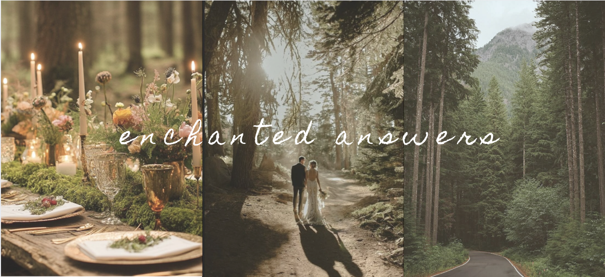 The Wedding Website of Arielle McCarthy and Krzysztof Korniak