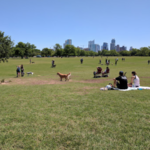 Zilker Metropolitan Park