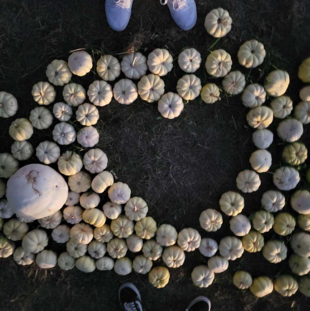 A cute picture from a local pumpkin patch.