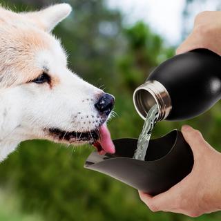 25 Oz. Dog Water Bottle