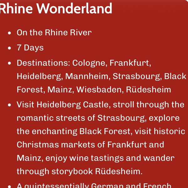 Christmas Market Cruise!