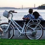 25 More Ways to Enjoy Tiburon, ,CA