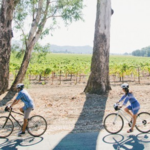 Bike the Napa Valley Vine Trail