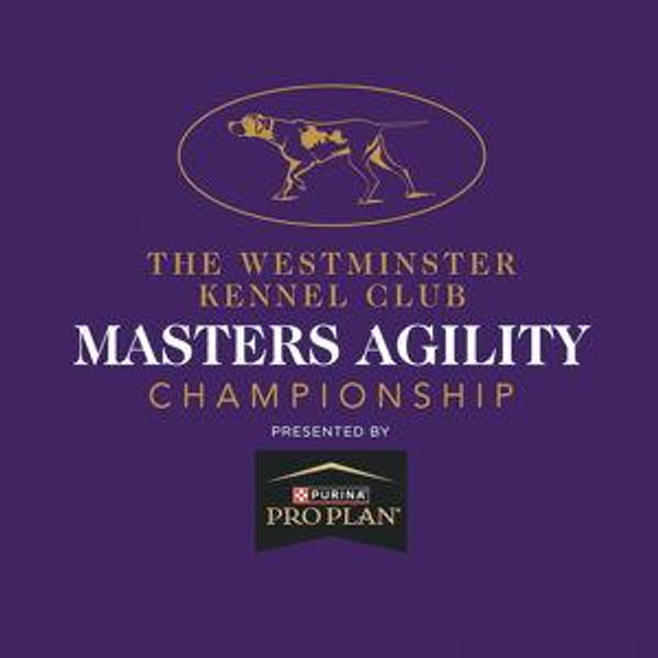 Tickets to the Westminster Kennel Club Masters Agility Championship