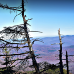 Slide Mountain Peak