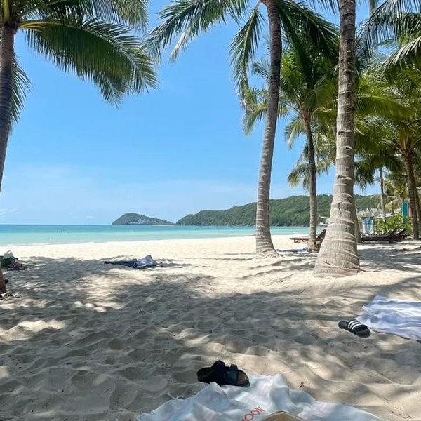 Honeymoon Fund 🏝️🌺✈️