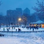 Frog Pond