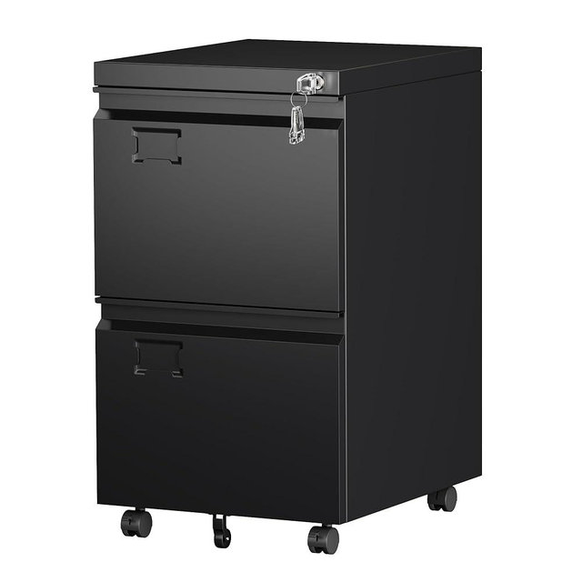 SUXXAN 2 Drawer File Cabinet with Wheels, Under Desk Drawer with Lock Name Card Holder for Home Office, Metal Filing Cabinet for Legal/Letter Size, Assembly Required