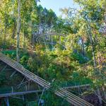 Smoky Mountain Alpine Coaster