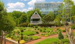 The State Botanical Garden of Georgia