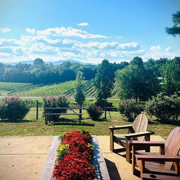 Three Vineyards Half Day Private Wine Tour