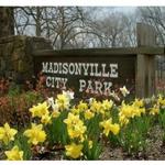 Madisonville City Park