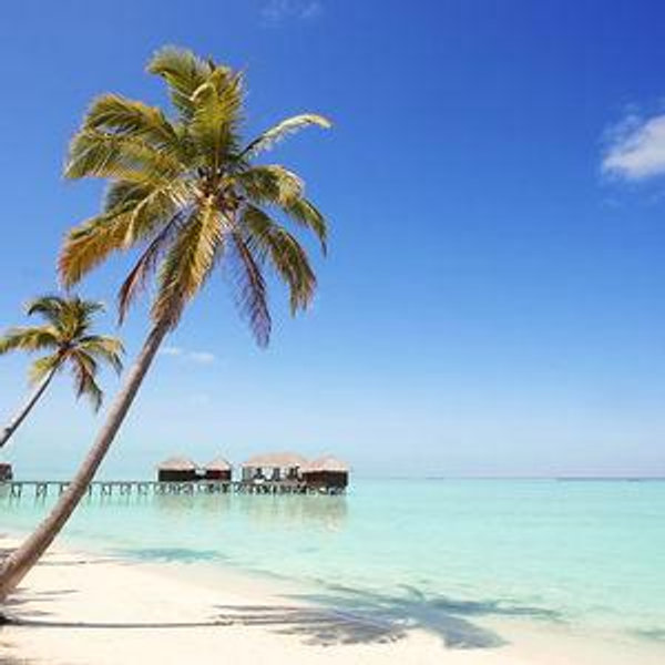 Honeymoon Fund