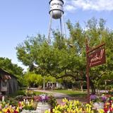 Gruene