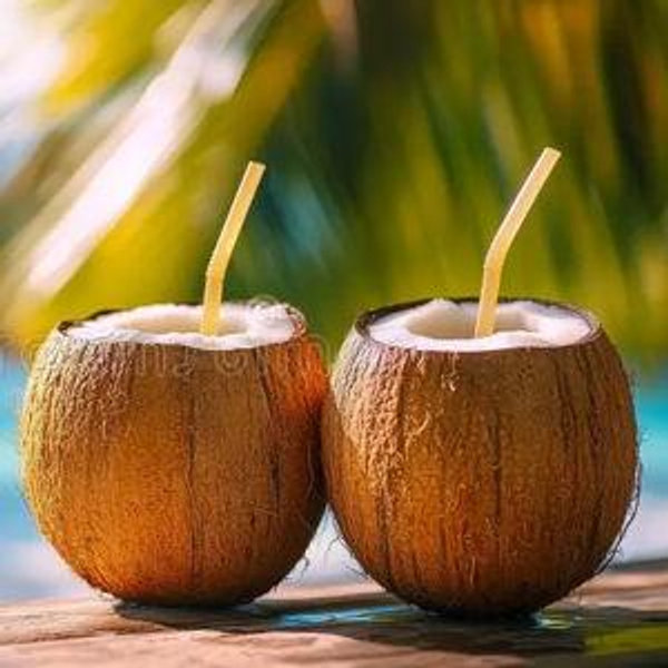 Honeymoon Fund
