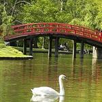 Memphis Botanic Garden