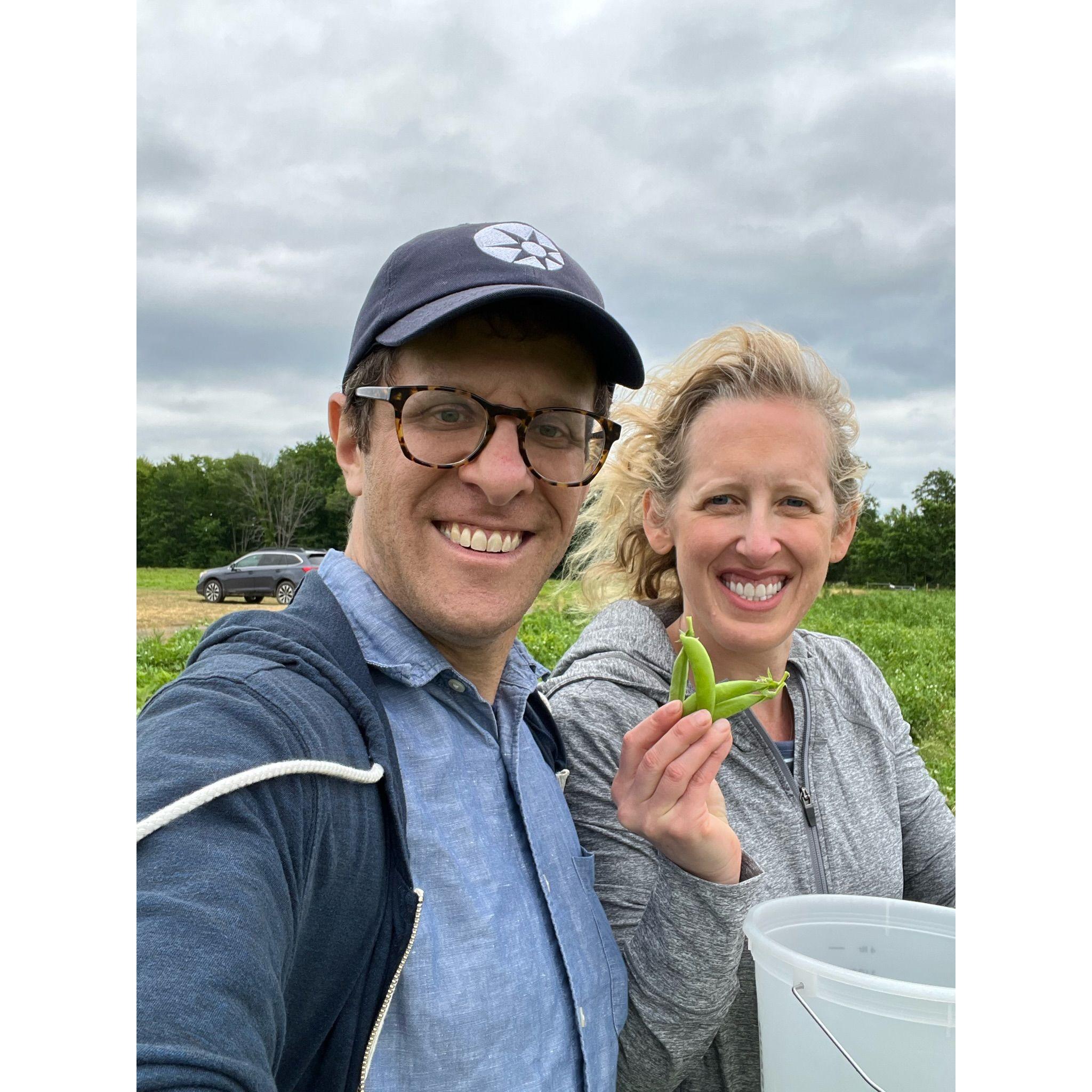 We picked sugar snap peas too!