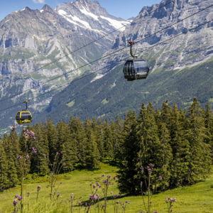 Gondola Tickets for Hiking Trails
