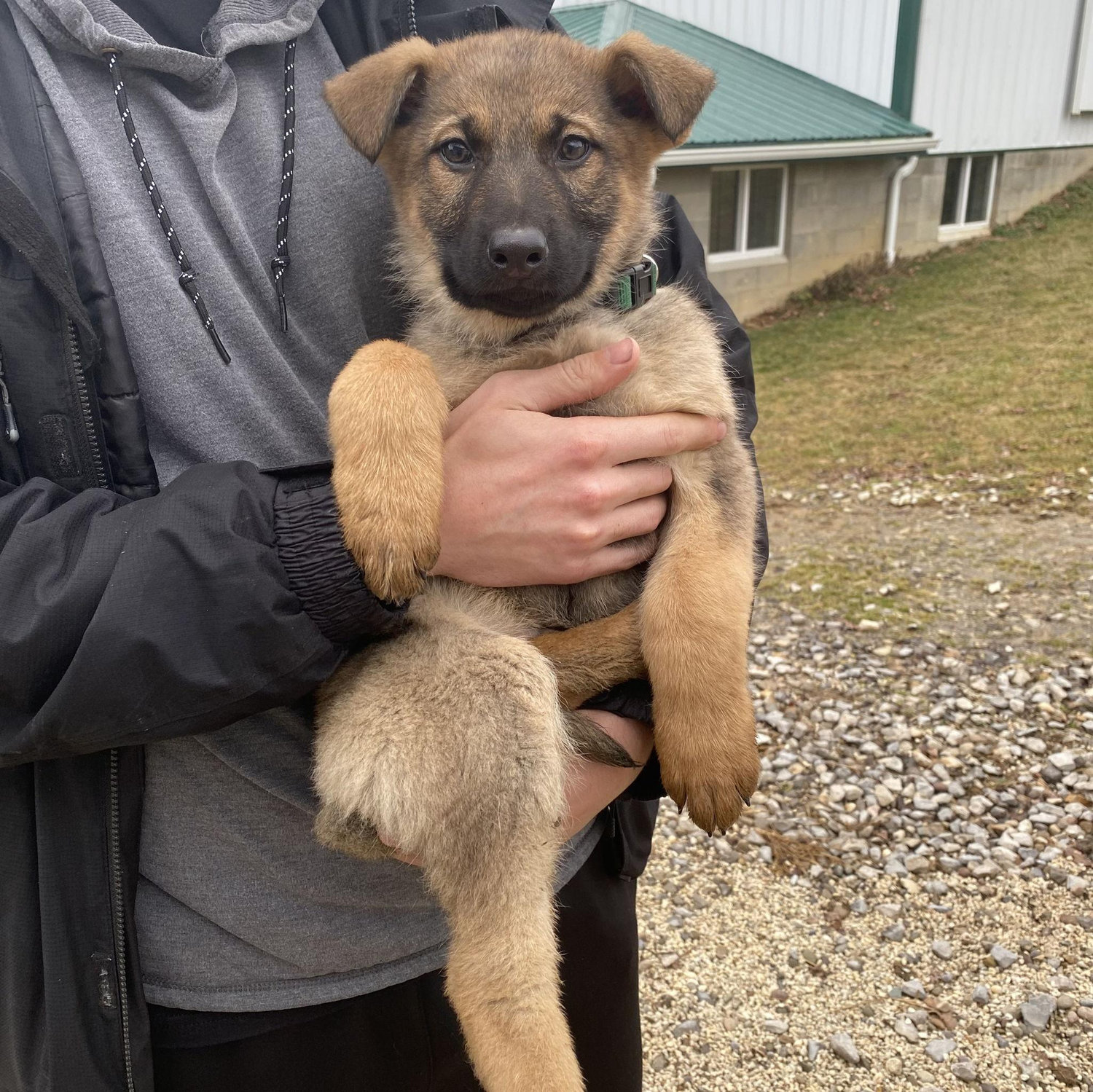 first day we met him <3