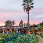 Flora Farms