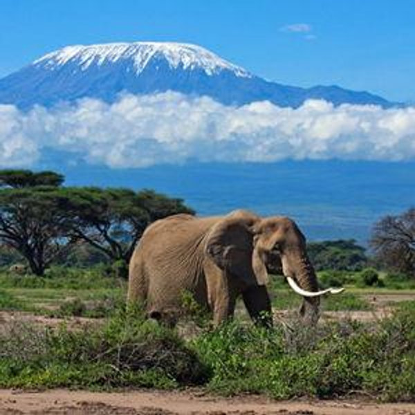 Honeymoon Flights & Lodging to Tanzania