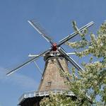 Windmill Island Gardens