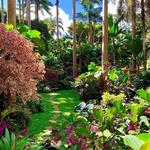 Hunte's Gardens