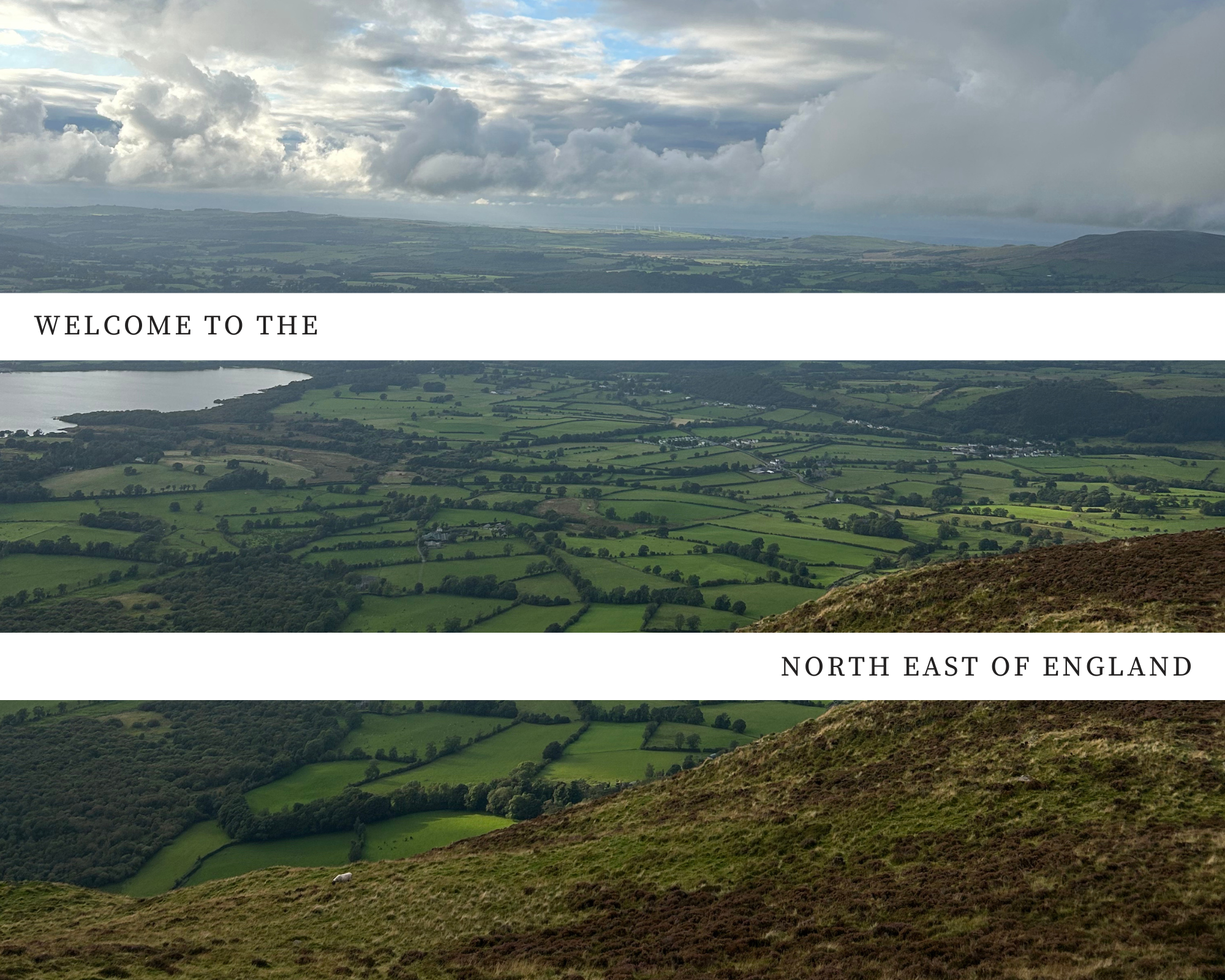 The Wedding Website of Monique Garcia and Taylor Kitching