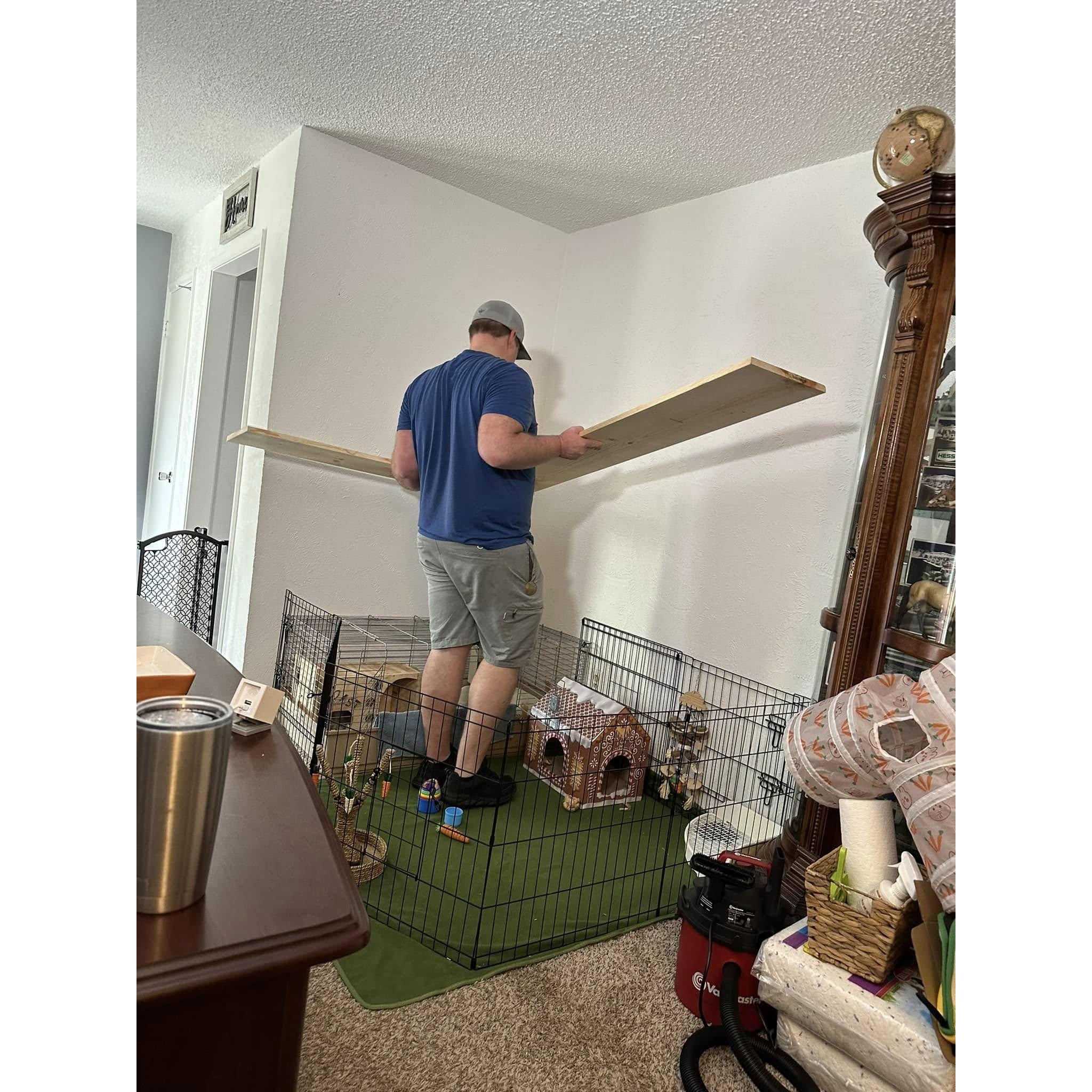Kathryn and Aaron support each other's hobbies. Aaron can be seen here installing shelves above their new rabbit's baby pen while he was being potty trained to store all the rabbit's supplies.