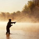 Sweetwater Fly Shop