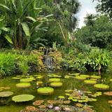 Fairchild Tropical Botanic Garden