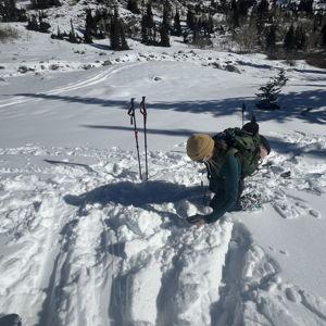 AVALANCHE LEVEL 1 CLASS