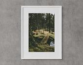 Kyoto Wall Art, Japan Wall Art, Moss...