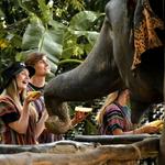 Elephants Sanctuary