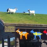 Al Johnson’s Swedish Restaurant & Butik