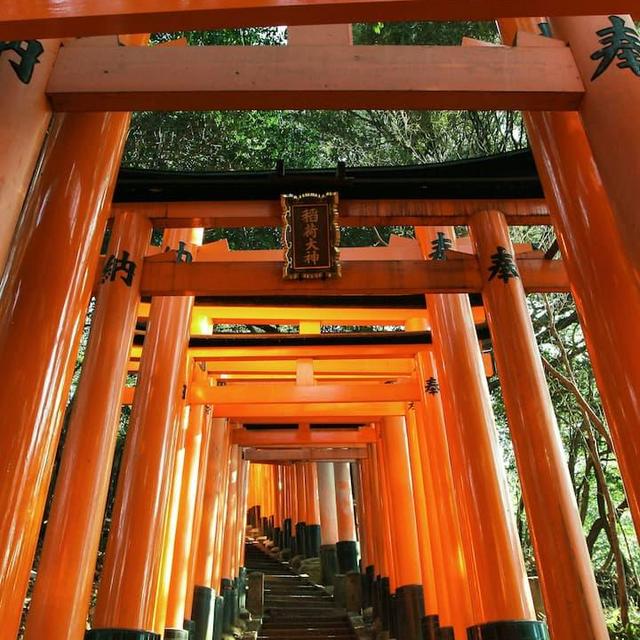 Forest Bathe in Kyoto's Sacred Mountain