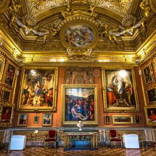 Visit to the Palazzo Pitti in Florence