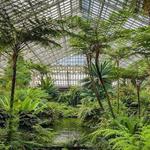 Garfield Park Conservatory