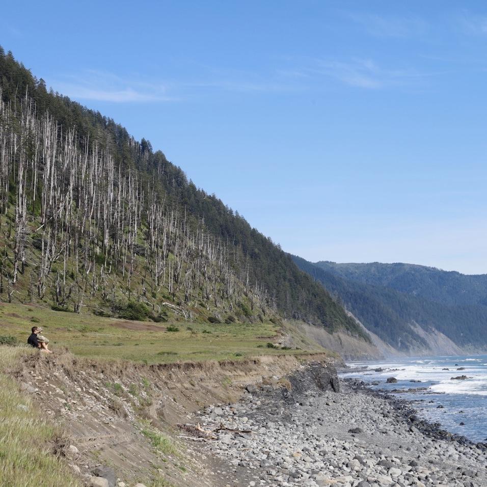 Lost Coast, California