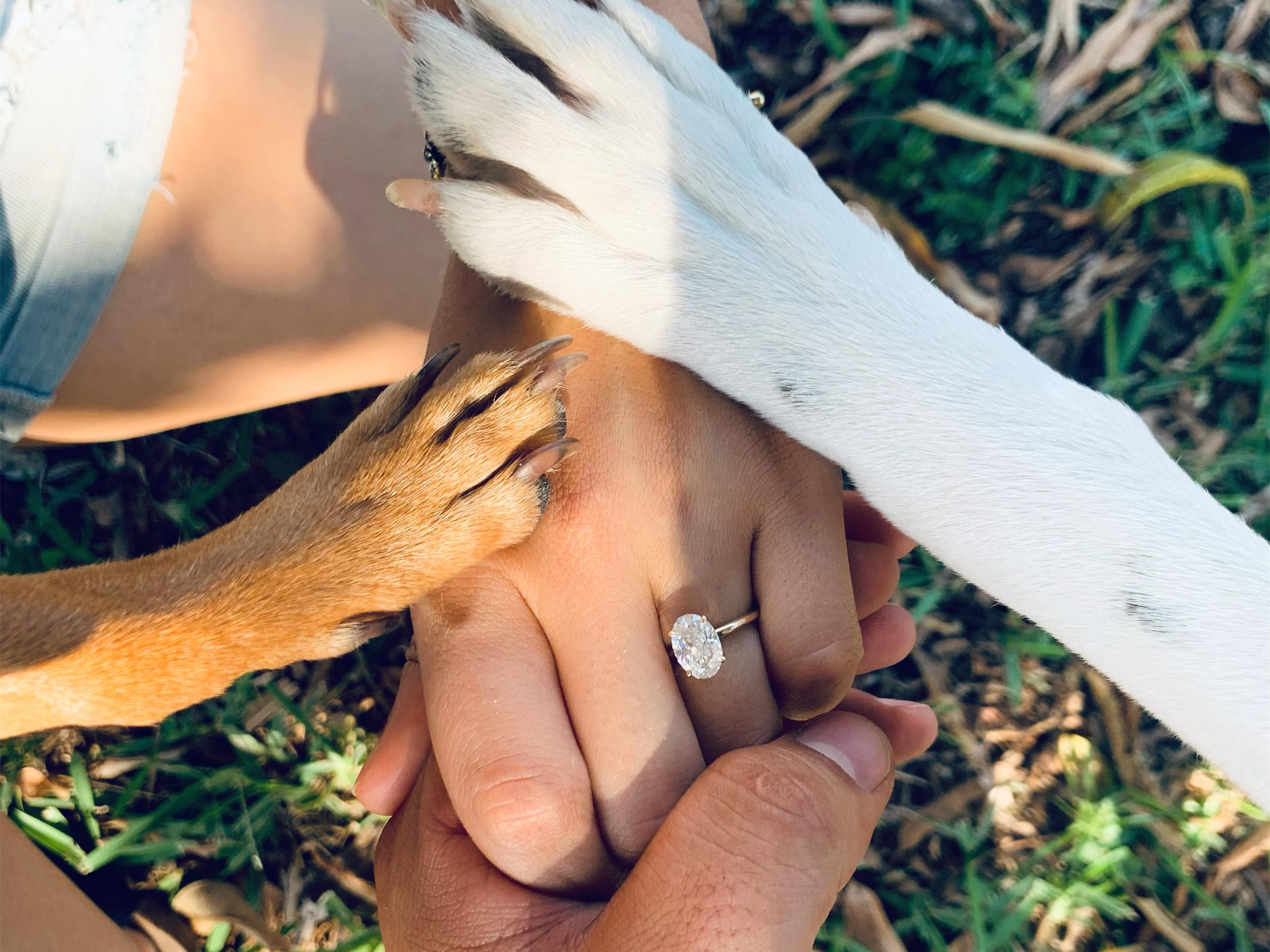 The Wedding Website of Oriana Daly and Jonathan Giraldo