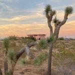 Joshua Tree National Park