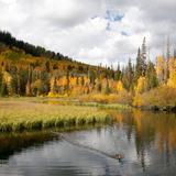 Big Cottonwood Canyon