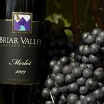 Briar Valley Winery