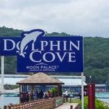 Dolphin Cove Moon Palace Jamaica Grande