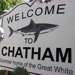 Chatham Shark Center