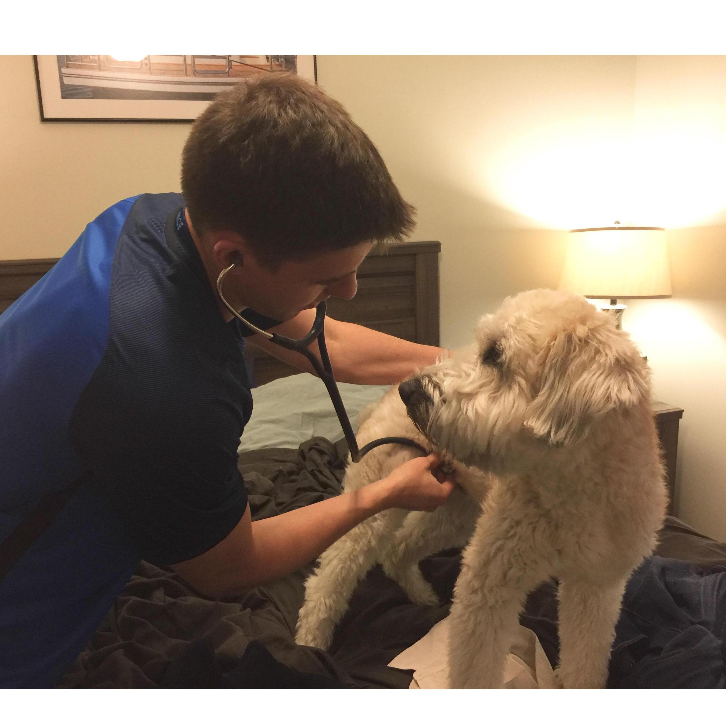 The radiologist plays veterinarian.